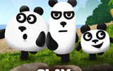 3 Panda