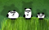 Akıllı Pandalar