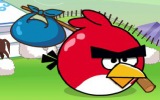 Angry Bird Dünya Turu