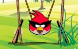 Angry Birds ile Yumurta Topla