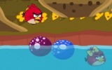Angry Birds Kavuştur