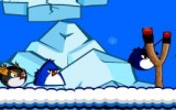 Angry Birds Penguenler
