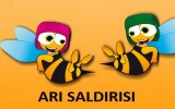 Arı Saldırısı