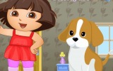 Dora Köpek Bakımı