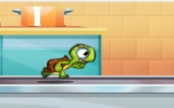 Kaplumbağa Koşu