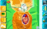 Kedi Kalp Ameliyatı