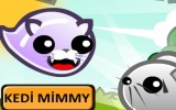 Kedi Mimmy
