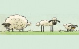 Koyunları Eve Gönder