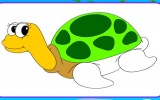 Mutlu Kaplumbağa Boyama