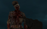 Nazi Zombi