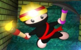 Madenci Ninja