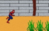 Örümcek Adam Koşuyor