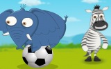 Safari Futbol