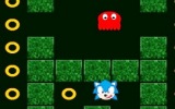 Sonic Pacman