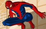 Spiderman Giydir