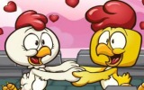 Tavukların Aşkı