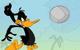 Voleybolcu Daffy