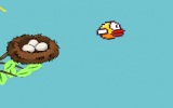 Zor Flappy Bird